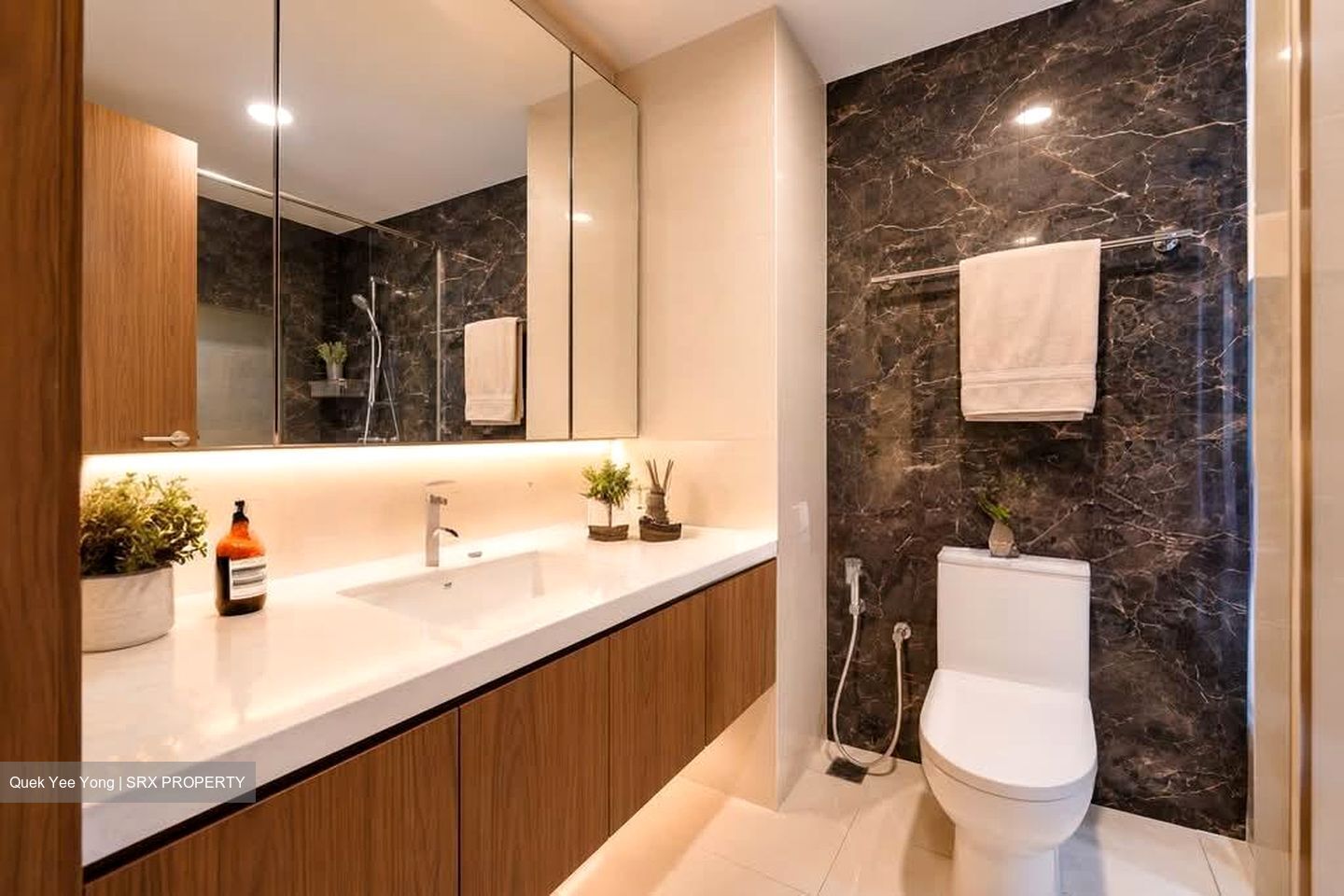 Palm Isles (D17), Condominium #580646421